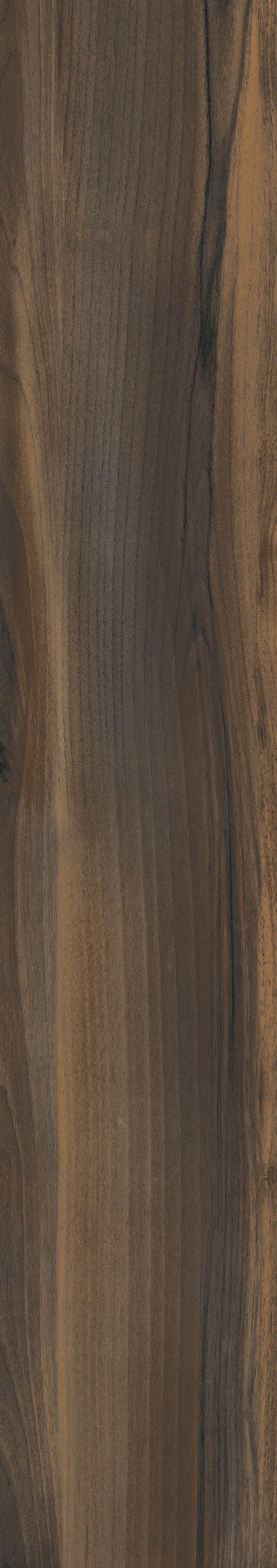 BALBOA MOKA R6